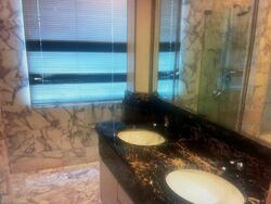Four Seasons Park (D10), Condominium #590782861
